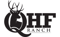 QHF_logo_deer_black_200_transparent