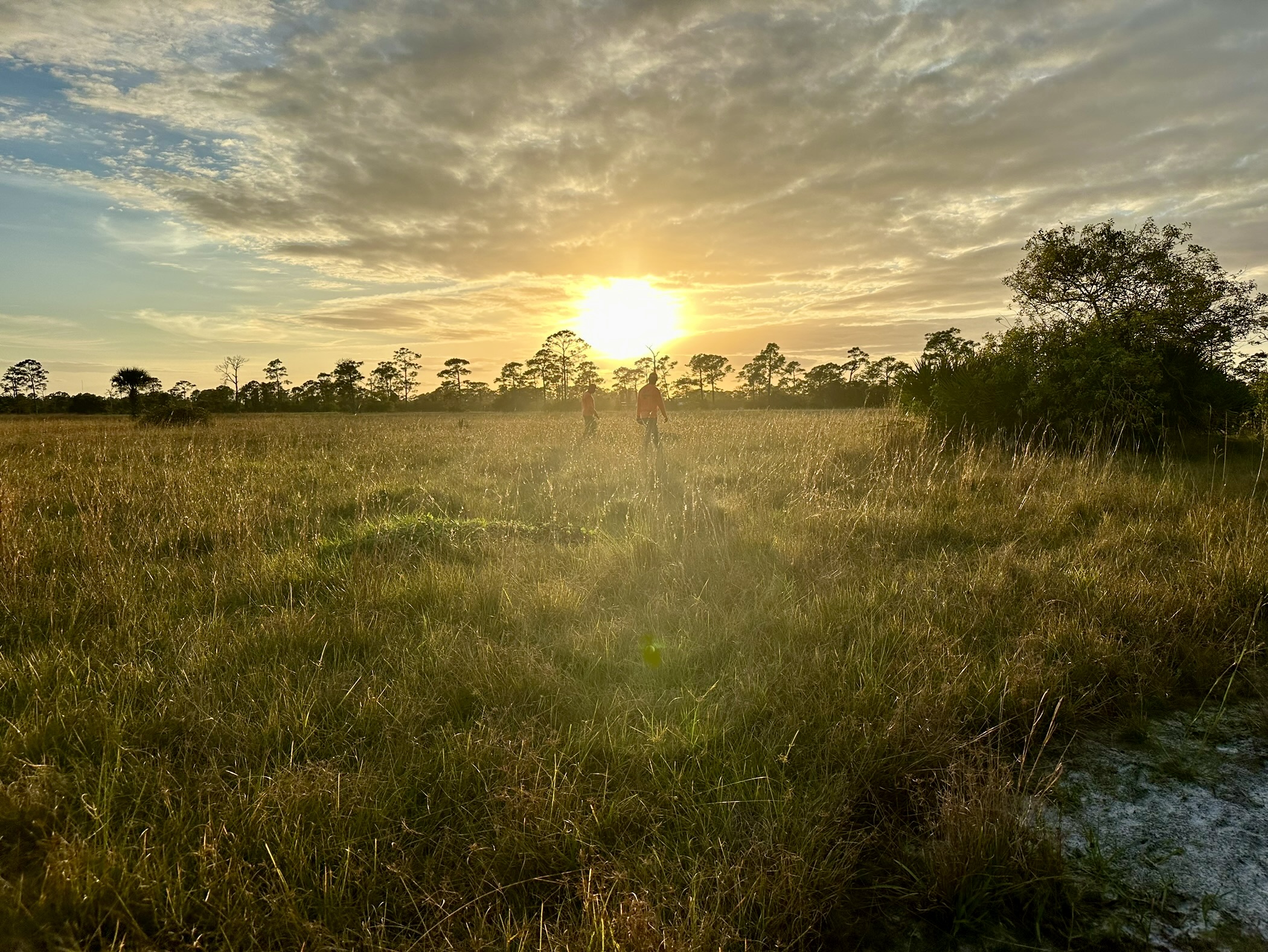 QHF RANCH HUNTING